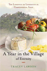 an image of the cover of the book: A Year in the Village of Eternity