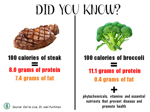 Protein comparison of steak vs. Broccoli